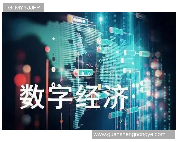 中国全面推进数字经济创新发展 加速产业转型升级和高质量发展