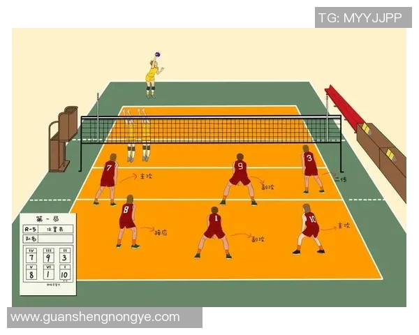 北京排球队的速度革命引发热议全新战术与训练方法的探索与实践