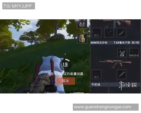 和平精英V5突破之路：从默默无闻到荣耀巅峰的纪实回顾