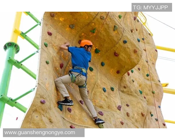 攀岩新手必看团队协作技巧与入门指南全面解析