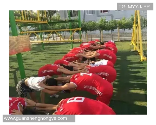 武汉排球队心理素质分析与提升策略探讨