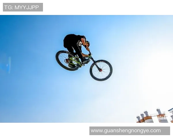 成都与武汉极限运动队速度较量赛后分析与精彩回顾