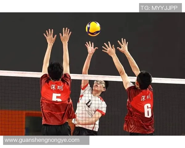 武汉排球队的节奏解析与排球深度探讨之旅