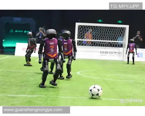 专访周芳：探寻足球成功背后的秘密与智慧