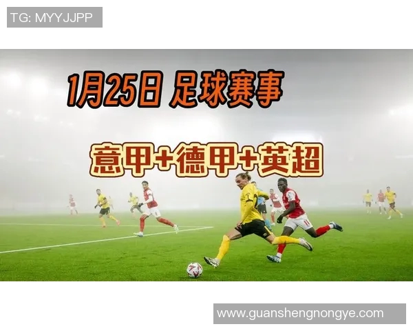 意甲与德甲足球队实力及风格对比研究