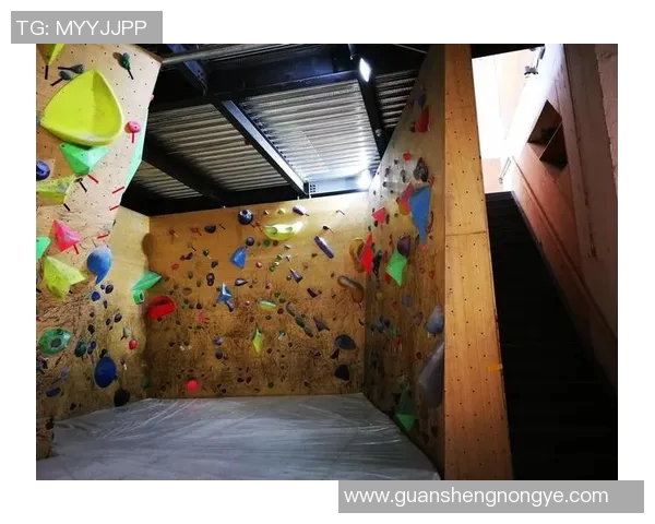 攀岩深度探索:揭秘北京攀岩队的转型与发展之路