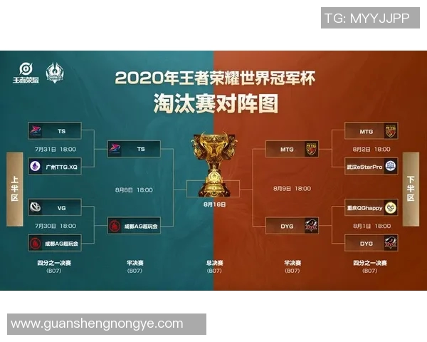 深圳网球队灵活性对比分析及其对比赛表现的影响探讨