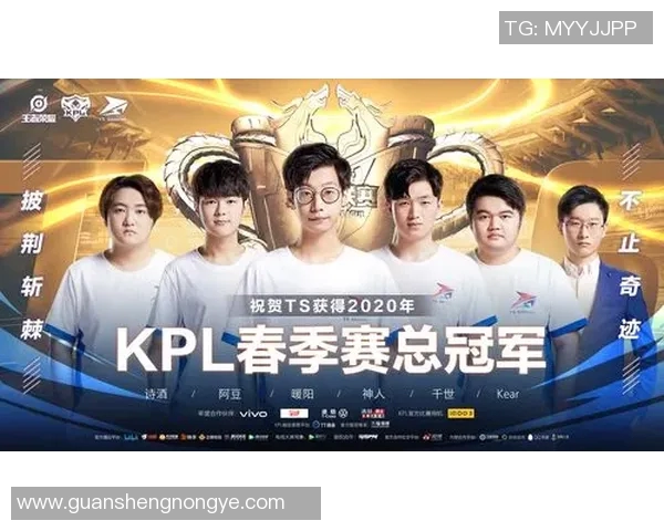 热议王者荣耀FPX战队实力变革背后的策略与挑战分析