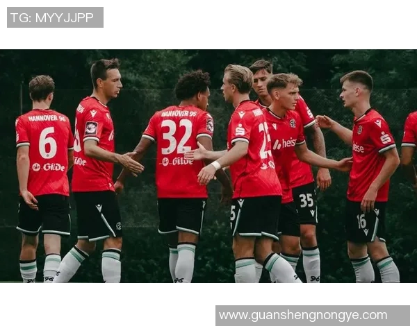 纽伦堡作为德甲老牌球队的发展历程与现状