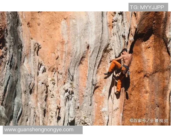 上海攀岩队实力探秘：团队训练与赛事表现全景分析