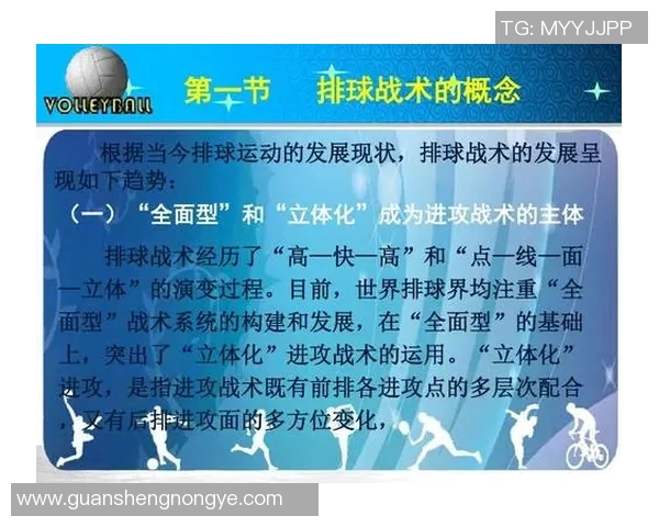 上海排球队技术探讨：提升战术与技能的全方位分析与展望