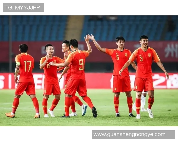 中国足球明星最新排名揭晓谁将成为球迷心中的最佳球员