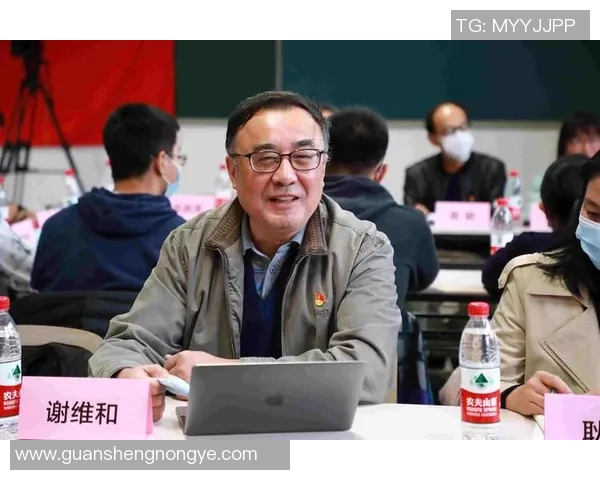 南京排球队的精神探索与团队意识的深度剖析